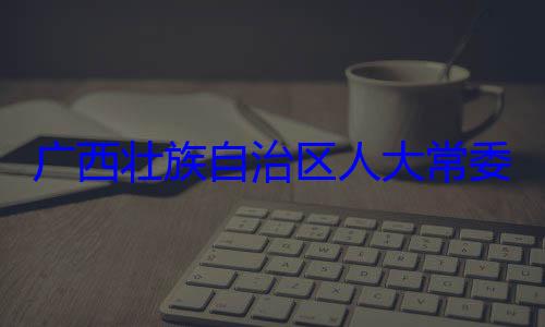 治区人大常自治区人大主任委员蒋广西壮族自法制委员会家柏被查委会委员